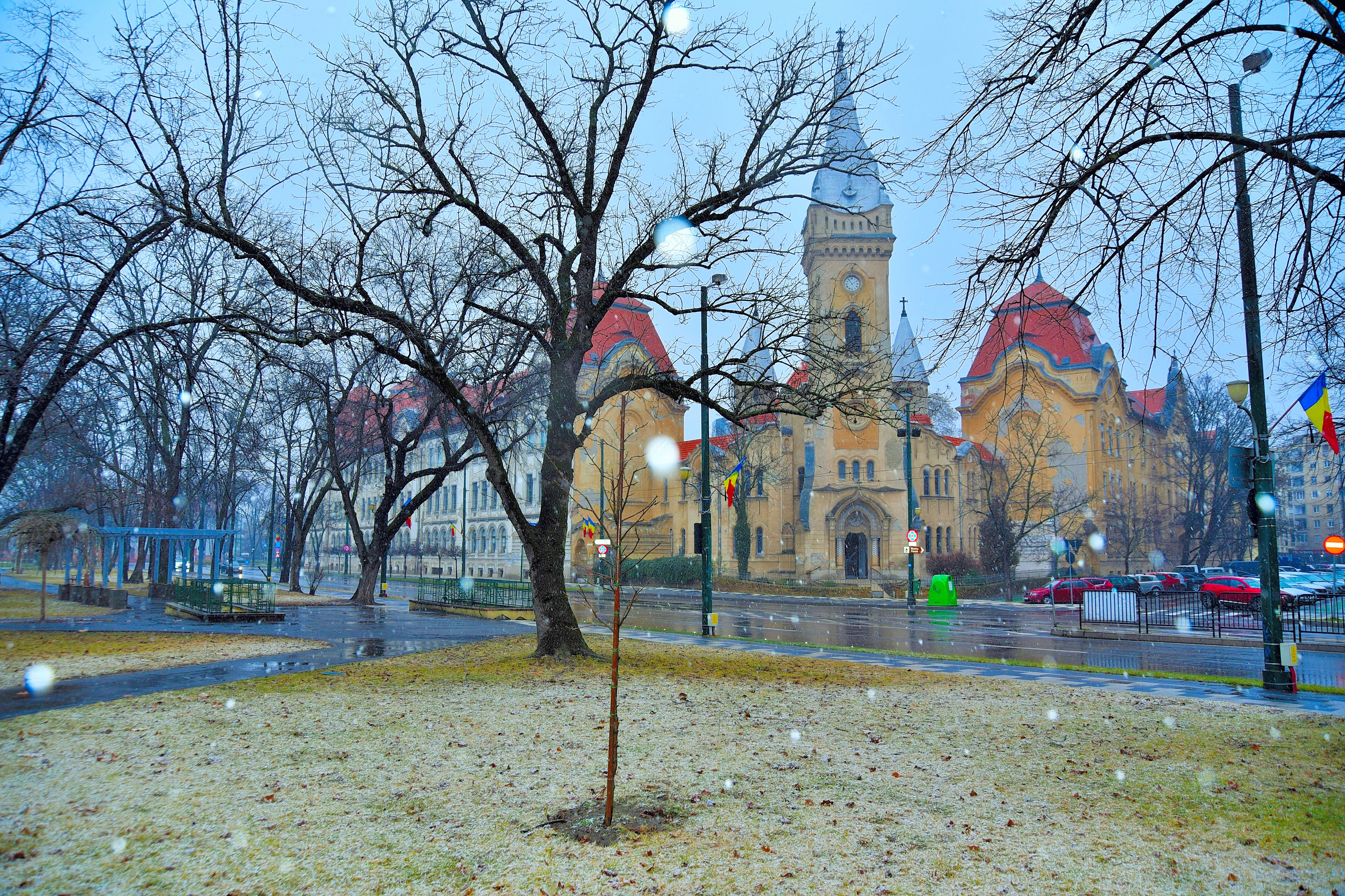 Timisoara , snowing